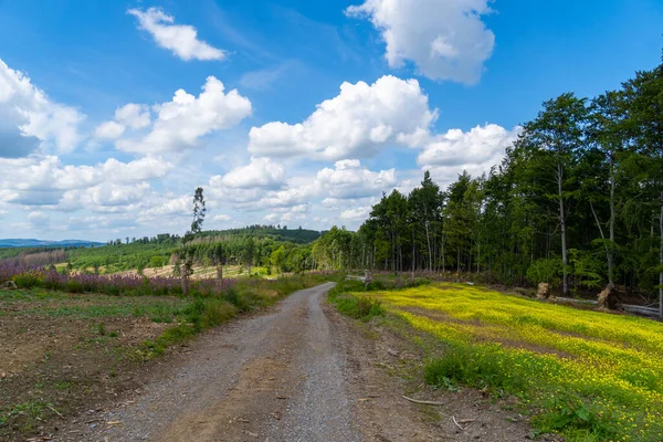 stock image Hiking area in the Sauerland. Nature near the Hubertushoehe between Arnsberg and Sundern.