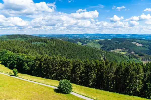 Paisagem Schomberg Sauerland Natureza Com Florestas Trilhas Para Caminhadas Perto — Fotografia de Stock