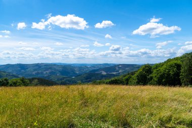 Sauerland, Schomberg 'deki manzara. Lennegebirge 'de Sundern yakınlarında ormanları ve yürüyüş patikaları olan doğa..