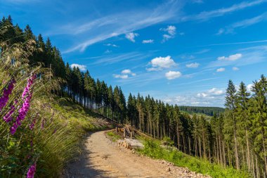 Landscape at Schomberg in Sauerland. Nature with forests and hiking trails near Sundern on the Lennegebirge. clipart