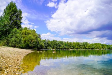Baden-Wrttemberg 'deki Schwetzingen yakınlarında balık tutma gölü. Çevresini saran temiz göl..