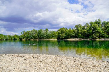 Baden-Wrttemberg 'deki Schwetzingen yakınlarında balık tutma gölü. Çevresini saran temiz göl..