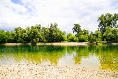 Baden-Wrttemberg 'deki Schwetzingen yakınlarında balık tutma gölü. Çevresini saran temiz göl..