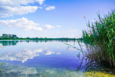 Rhineland-Palatinate 'de Neuhofen ve Waldsee yakınlarında yüzen Schlicht Gölü. Yazın göl manzarası ve çevresindeki doğa..