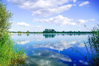 Rhineland-Palatinate 'de Neuhofen ve Waldsee yakınlarında yüzen Schlicht Gölü. Yazın göl manzarası ve çevresindeki doğa..