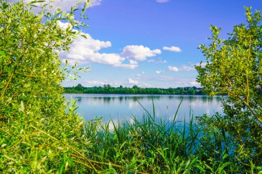 Rhineland-Palatinate 'de Neuhofen ve Waldsee yakınlarında yüzen Schlicht Gölü. Yazın göl manzarası ve çevresindeki doğa..