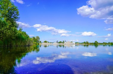 Rhineland-Palatinate 'de Neuhofen ve Waldsee yakınlarında yüzen Schlicht Gölü. Yazın göl manzarası ve çevresindeki doğa..