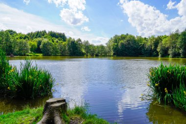 Beuerbacher Beuerbach yakınlarında. Hesse 'de doğayla iç içe bir gölet. Göl manzarası.