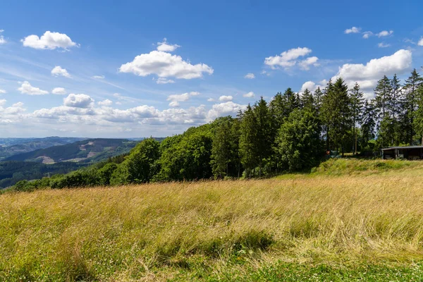 Krajobraz Schomberg Sauerland Natura Lasów Szlaków Turystycznych Pobliżu Sundern Lennegebirge — Zdjęcie stockowe