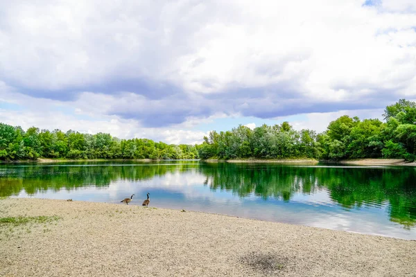 stock image Fishing lake near Schwetzingen in Baden-Wrttemberg. Clear lake with the surrounding nature.