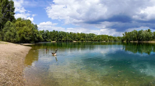 Baden-Wrttemberg 'deki Schwetzingen yakınlarında balık tutma gölü. Çevresini saran temiz göl..