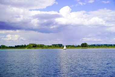 Ehrlichsee, Oberhausen-Rheinhausen yakınlarında. Yazın etrafını çevreleyen göl.