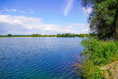 Ehrlichsee, Oberhausen-Rheinhausen yakınlarında. Yazın çevresindeki manzarayla yıkanan göl..