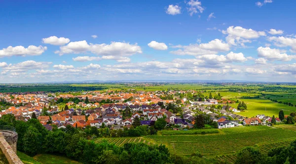 Wine Route Daki Wachenhein Panoramik Manzarası Yazın Rhineland Palatinate Manzara — Stok fotoğraf
