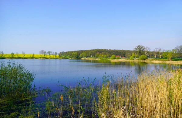 Doellnitzsee Bij Wermsdorf Stuwmeer Saksen Met Omringende Natuur — Stockfoto