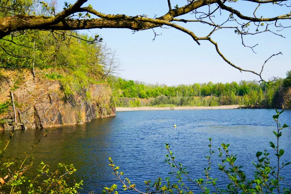 Naunhof附近的Haselberg Strassenteich萨克森州自然保护区有湖泊的景观 — 图库照片