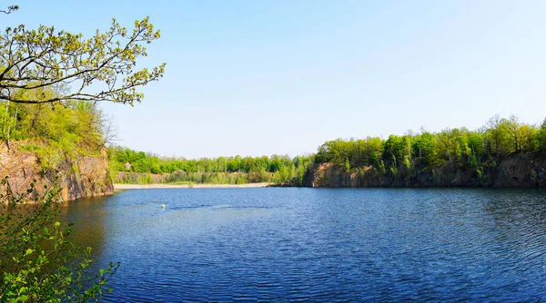 Naunhof附近的Haselberg Straenteich萨克森州自然保护区有湖泊的景观 — 图库照片