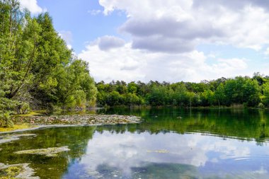 Mannheim yakınlarında Karlsternweiher. Yeşil doğalı küçük göl manzarası.