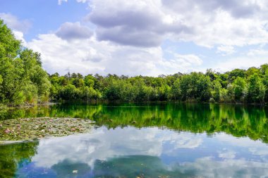 Mannheim yakınlarında Karlsternweiher. Yeşil doğalı küçük göl manzarası.