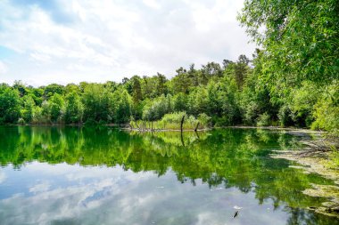Mannheim yakınlarında Karlsternweiher. Yeşil doğalı küçük göl manzarası.