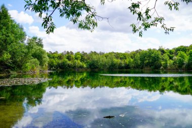 Mannheim yakınlarında Karlsternweiher. Yeşil doğalı küçük göl manzarası.