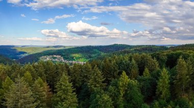 Baden-Wuerttemberg 'deki Wilhelmsfeld yakınlarındaki panoramik manzara. Dağları ve ormanları olan yeşil doğa.