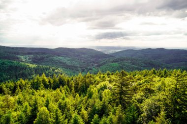 Baden-Wuerttemberg 'deki Wilhelmsfeld yakınlarındaki panoramik manzara. Dağları ve ormanları olan yeşil doğa.