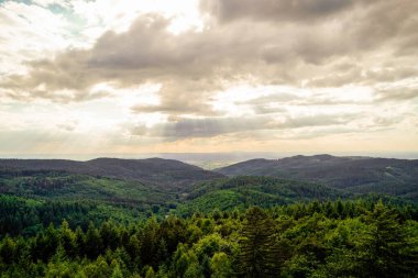 Baden-Wuerttemberg 'deki Wilhelmsfeld yakınlarındaki panoramik manzara. Dağları ve ormanları olan yeşil doğa.