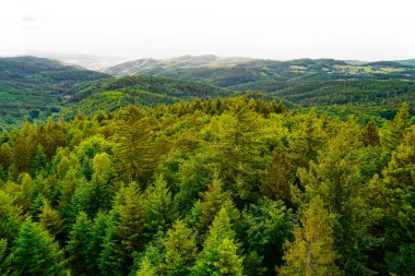 Baden-Wuerttemberg 'deki Wilhelmsfeld yakınlarındaki panoramik manzara. Dağları ve ormanları olan yeşil doğa.