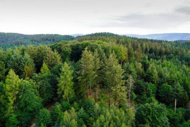 Baden-Wuerttemberg 'deki Wilhelmsfeld yakınlarındaki panoramik manzara. Dağları ve ormanları olan yeşil doğa.