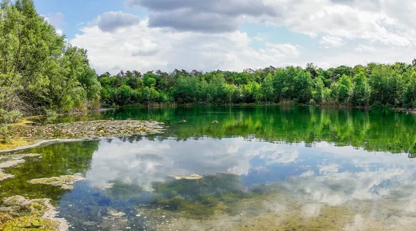 Mannheim yakınlarında Karlsternweiher. Yeşil doğalı küçük göl manzarası.