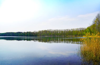 Moritzsee, Naunhof yakınlarında. Saksonya 'da doğayla iç içe banyo yapan göl..