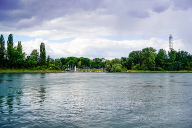 Ren, Schwetzingen yakınlarında. Nehir doğayla iç içe..
