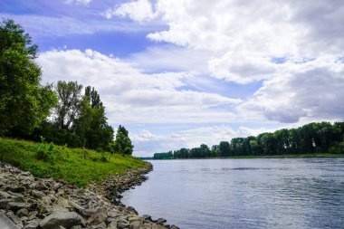 Ren, Schwetzingen yakınlarında. Nehir doğayla iç içe..