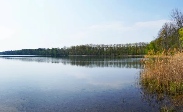 Moritzsee, Naunhof yakınlarında. Saksonya 'da doğayla iç içe banyo yapan göl..