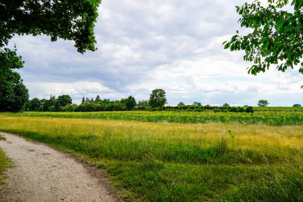 在Oberhausen Rheinhabited Usen附近的风景 草场繁茂的大自然 — 图库照片