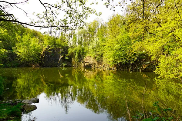 Rezerwat Przyrody Ammelshain Quarry Idylliczny Mały Staw Skałami Roślinnością Zieloną — Zdjęcie stockowe