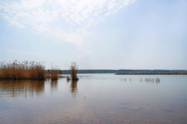 Stoermthaler 'in görüntüsü. Leipzig yakınlarında. Bir göl manzarası ve Saksonya 'nın çevresindeki doğa..