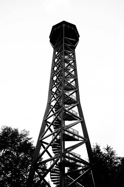 威廉斯菲尔德附近的Teltschik塔 金属结构的高观望塔 — 图库照片