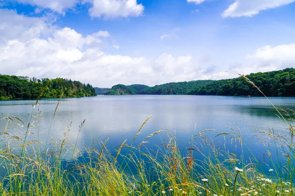 Wahnbachtalsperre Koło Siegburga Zapora Widokiem Jezioro Otaczającą Przyrodę — Zdjęcie stockowe