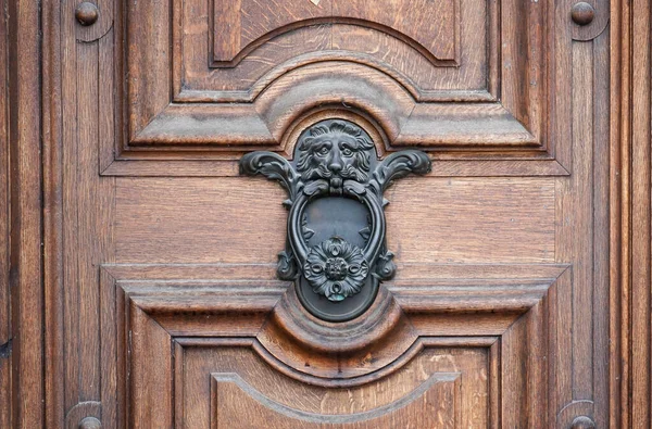 Stare Metalowe Drzwi Dekoracjami Głową Lwa Rustykalnych Drewnianych Drzwiach — Zdjęcie stockowe