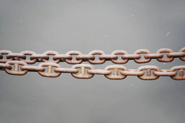 Rusty Anchor Chain Gray Background — Stock Photo, Image