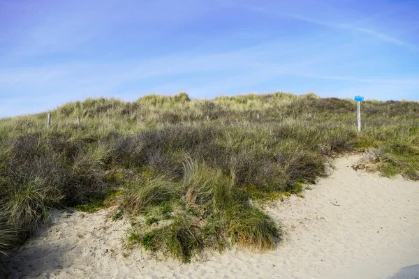 Dünenlandschaft Der Niederländischen Nordseeküste Naturschutzgebiet Niederlande — Stockfoto