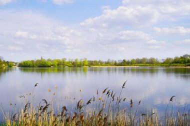Aşağı büyük gölet Baernsdorf. Moritzburg, Saksonya yakınlarındaki manzaralı göl. Doğa rezervinde rezervuar.