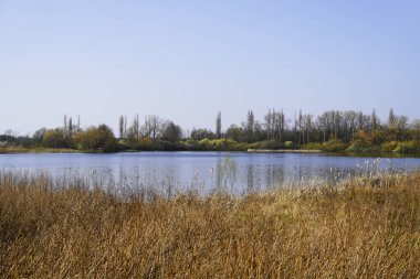 Lanstroper, Dortmund 'un yanına git. Kışın gölün etrafındaki manzara.