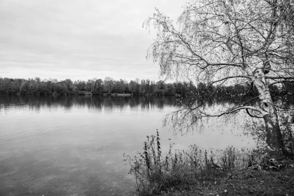 Фельдмохингер Смотреть Недалеко Мюнхена Пейзаж Озере Зимой — стоковое фото