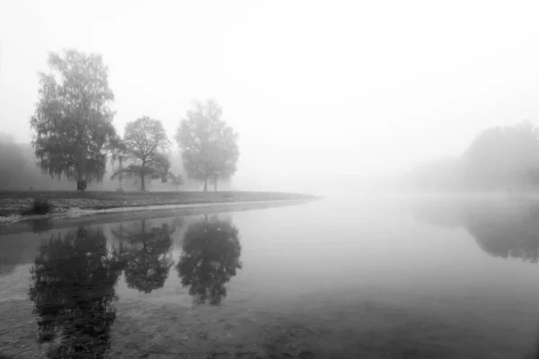 Germeringer Ver Cerca Germering Alta Baviera Paisaje Lago Niebla Tiro — Foto de Stock