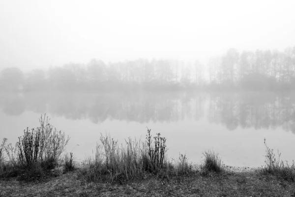 Der Germeringer See Bei Germering Oberbayern Landschaft See Nebel Schwarz — Stockfoto