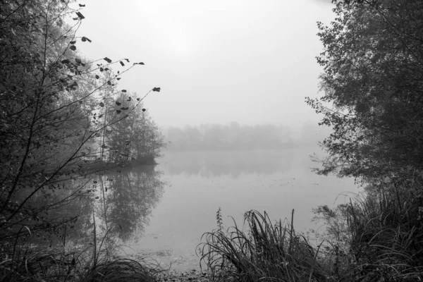 ドイツ人バイエルン州のドイツ人の近くを参照してください 霧の中の湖での風景 黒と白のショット 自然の中で霧の朝 — ストック写真