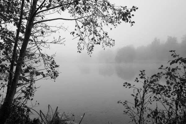 ドイツ人バイエルン州のドイツ人の近くを参照してください 霧の中の湖での風景 黒と白のショット 自然の中で霧の朝 — ストック写真